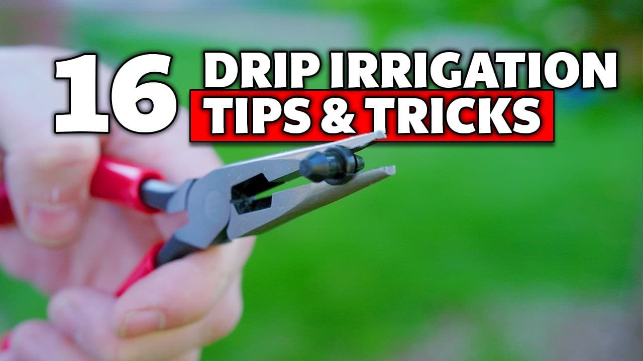 16 Expert Tips & Tricks for Efficient Drip Irrigation