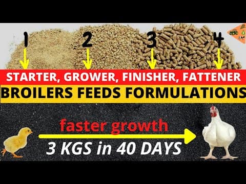 How to Formulate Broiler Feeds: Starter, Grower & Finisher